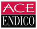 ACE Endico logo